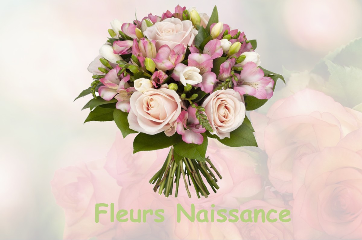 fleurs naissance BATILLY-EN-GATINAIS